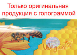 Подивитися
