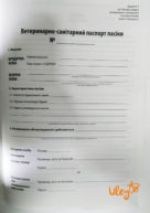 Посмотреть