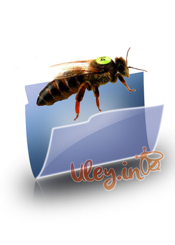 МАТКИ