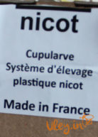 Подивитися