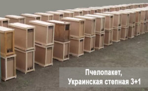 Пчелопакеты Украинской Степной породы 4 рамки расплода