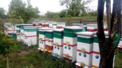 Посмотреть