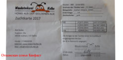 Посмотреть