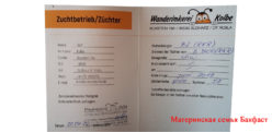 Посмотреть