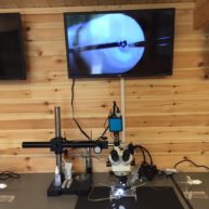 Посмотреть