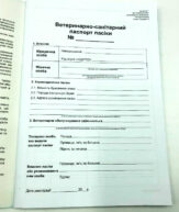 Подивитися
