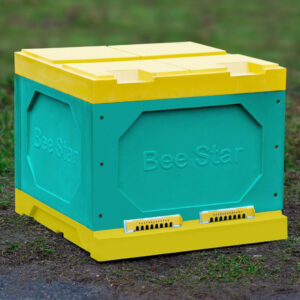 Улей ППУ «BeeStar» (1 корпус Дадан на 12 рамок) - цветной