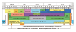 Подивитися